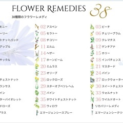 💐フラワーレメディのモニターセッションを受けてみませんか？