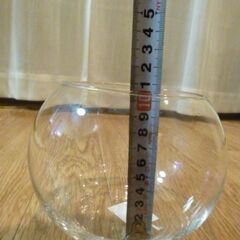 ★★ 新品 ガラス容器 プラント グラス  水槽