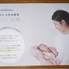【お値下げ！】抱っこ布団 ねんねクッションの画像