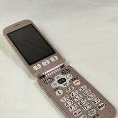 ドコモ docomo F08C 判定◯  ジャンク品  ガラケー...