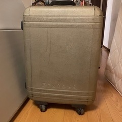 大きめのスーツケース