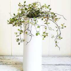 【💖Thankyou💖】2点セット（70cmトクサ＋③ワイヤープ...