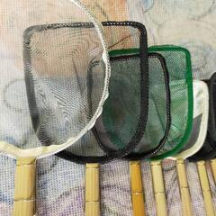 【名品】mokoのタモ店頭販売‼️名古屋改良メダカ直売所♢…