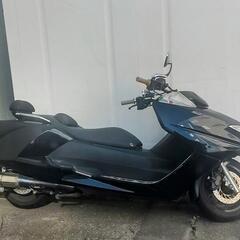 マグザム250