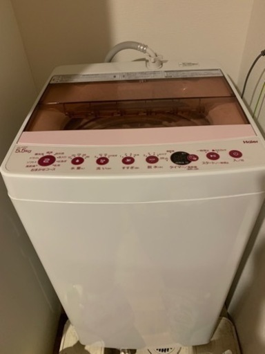 Haier 洗濯機　5.5kg 美品