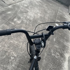 20インチBMX 状態良いの画像