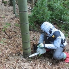 週末ワーカー募集中！(平日も可)９月以降のスタート事業の先行募集...