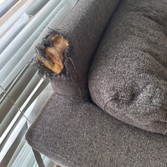 ソファーの画像