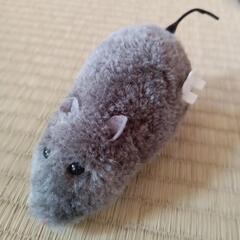 🐭高速で走ります🐭　猫のおもちゃ　ミニカー　ネズミ　ねずみ　ゼン...