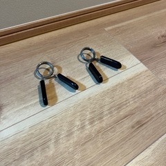 	 IROTEC(アイロテック) レギュラーWバーの画像