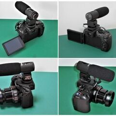 Panasonic パナソニック LUMIX DMC-G6 ＋ LUMIX ルミックス G X VARIO PZ 14-42mm F3.5-5.6 ＋ レコーディングマイク