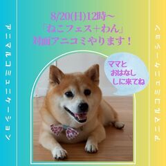 アニマルコミュニケーション&レイキヒーリングを体験できます！