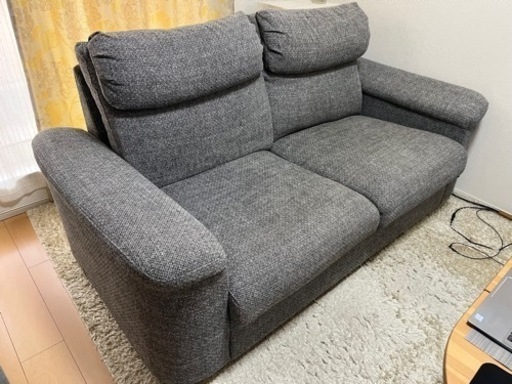 廃棄期限間近　リードフルト　IKEA  2人掛け　カバー予備付