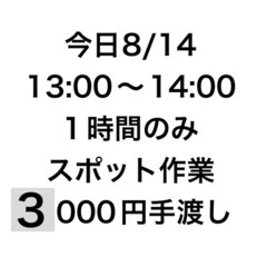 13:30から！1時間だけ！3000円！の画像