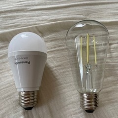 電球　2種類　白色