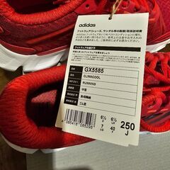 adidas　運動靴の画像