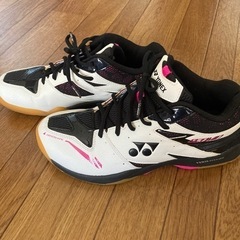 バドミントンシューズの画像