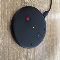 Amazon Echo Input