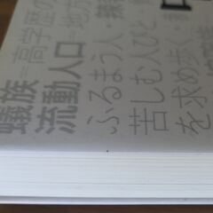 中国語「新語・流行語」小辞典・読んでわかる超大国の人と社会の画像