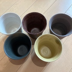 湯呑み⭐︎5客セットの画像