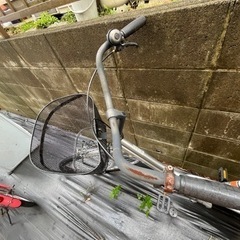 自転車　26インチの画像