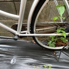 自転車　26インチの画像