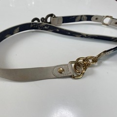 D&Gレディースベルト　値下げしましたの画像