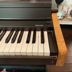 コロンビア　エレピアン　COLUMBIA ELEPIANの画像