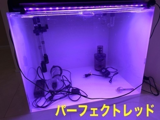 ガラス製リフジューム水槽あり！60㎝ワイドアクリル水槽セット！パワーアップキットサービス０円！
