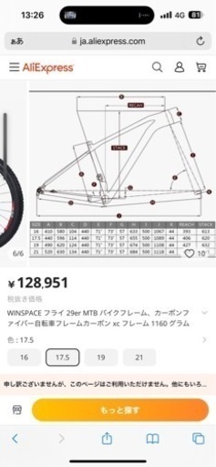 完成車WINSPACE FLY 29インチカーボンフレーム 現状引渡し 【公式通販】