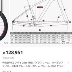 完成車WINSPACE FLY 29インチカーボンフレーム　現状引渡しの画像