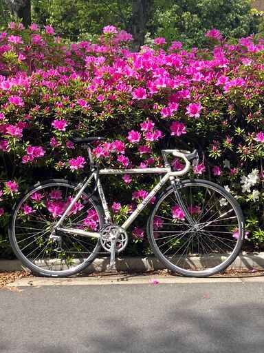 ロードバイク GIOS vintage white racing bicycle