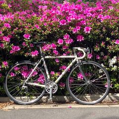 GIOS vintage white racing bicycle
