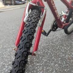ルイガノ　子供用自転車の画像