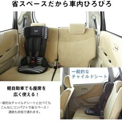 日本育児 チャイルドシート トラベルベスト ECプラス ブラックボーダー の画像