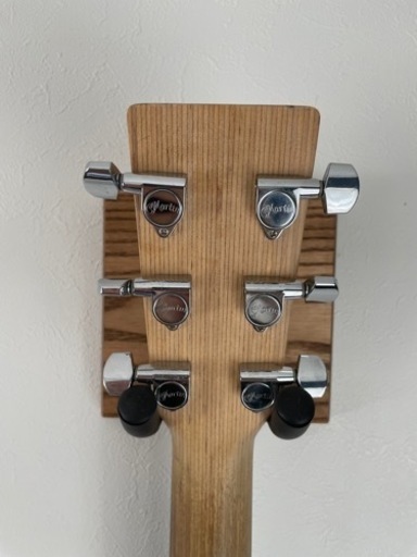 楽器 Martin DX1KAE