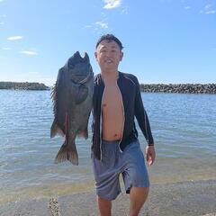新潟の「海」で魚突き(スピアフィッシング) - メンバー募集
