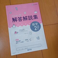 ホンキの冬　解答解説集　数学2年　中学校　新学社