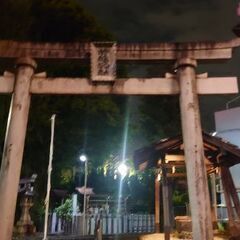 夜のお散歩