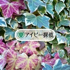 浮気調査、所在調査、信用調査など各調査を承ります。 - 生活トラブル