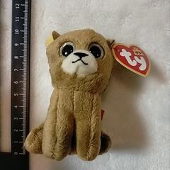 TY ぬいぐるみ