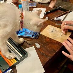 【8月18日（金）】池袋の保護猫カフェで「​猫のいる猫の絵教室」🐈の画像