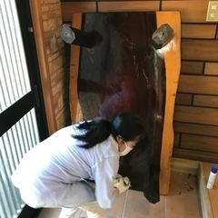 紅紫檀 ローテーブル