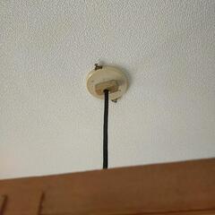 照明　和風の画像