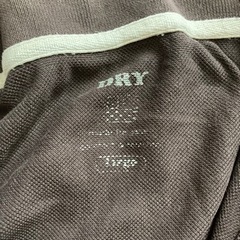ポロシャツ茶色の画像