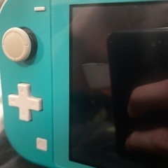 Switch lite  の画像