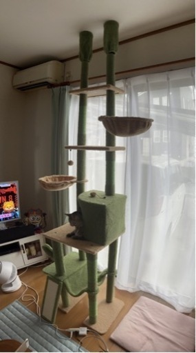 キャットタワー