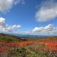 【あと１名】9/30-10/01　神の絨毯　栗駒山　前泊　日曜登山