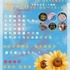 8月20日大田原市原眼科様にてメダカイベントやります！