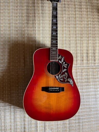 Morris モーリス アコースティックギター ハミングバード WH-20